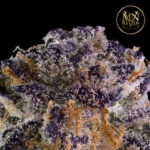 Pack | MAVEN GENETICS | Recreational Marijuana Pack, Maven Genetics