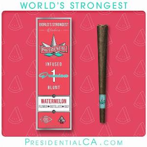 Preroll-1.5g | PRESIDENTIAL | Recreational Marijuana Preroll-1.5g, Presidential