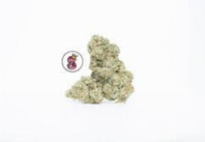 preroll | NO TILL KINGS | Recreational Marijuana preroll, No Till Kings