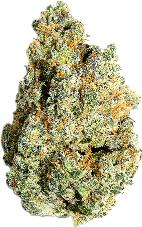 (3.5g) | SUNDAE CO | Recreational Marijuana (3.5g), sundae co