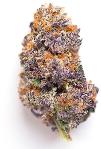 8 Inch Bagel | NATURE'S CHEMISTRY | Recreational Marijuana 8 Inch Bagel, nature's chemistry