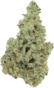 91 Chem VA Skunk, alternative medicine association