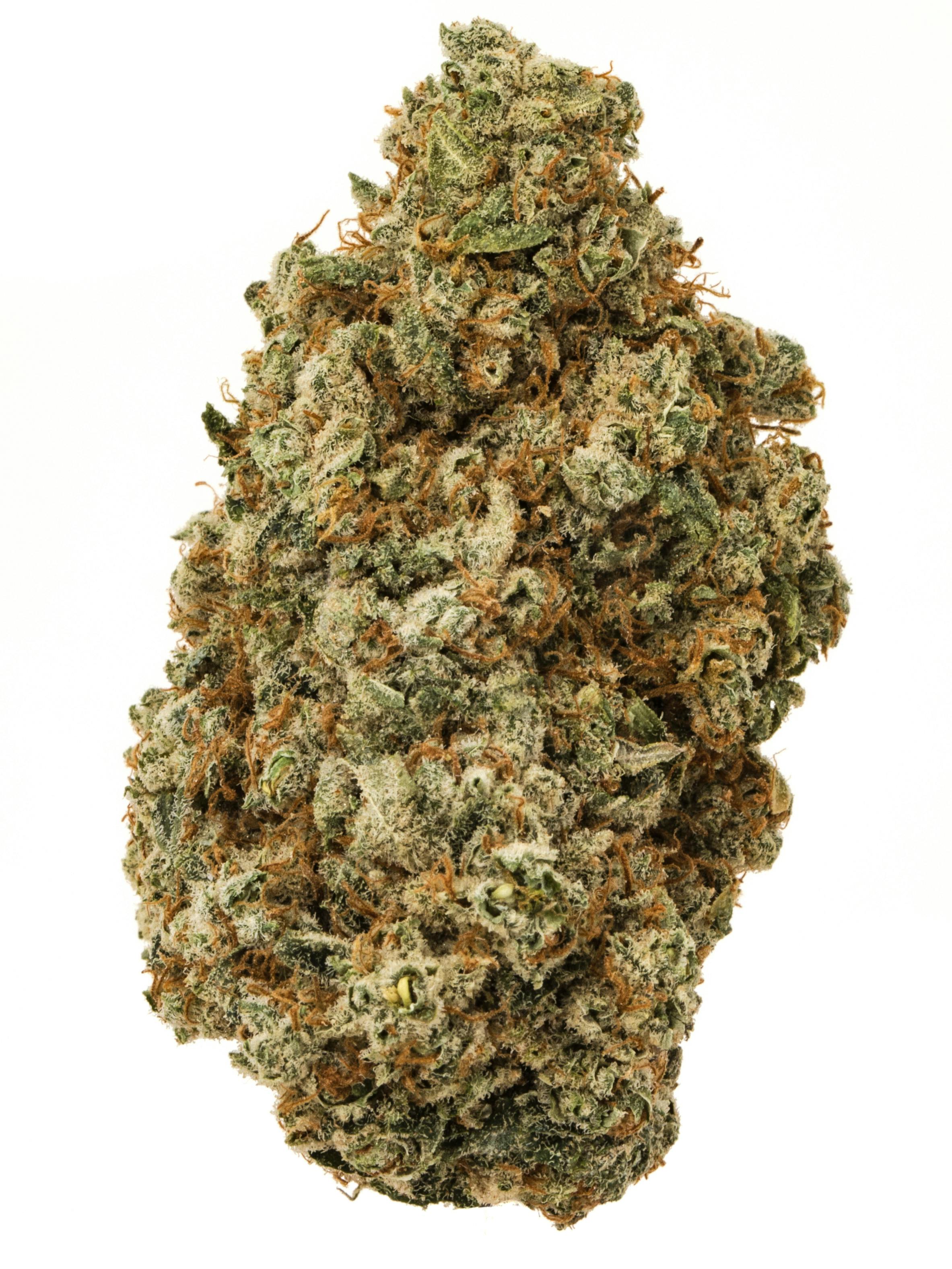 Alien Kush - State Flower