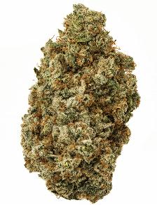 Alien Kush | STATE FLOWER | Recreational Marijuana