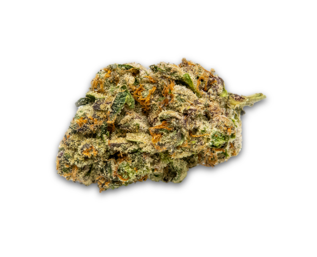 Animal House Nature's Chemistry