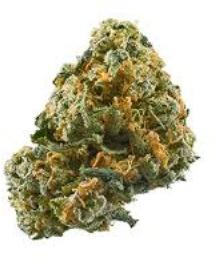 Bear Claw, hustler's ambition