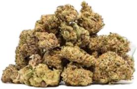 Blue Guava, super good