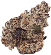 Bubble Butt 2.0, clout king