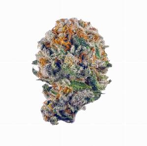 Canal Street Runtz | NATURE'S CHEMISTRY | Recreational Marijuana Canal Street Runtz, nature's chemistry