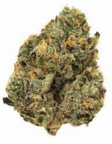 Canoli Kush, hustler's ambition