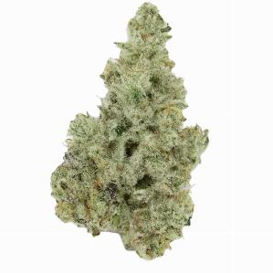 Cap Junkie | BLVD | Recreational Marijuana Cap Junkie, blvd