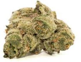 CranApple, state flower