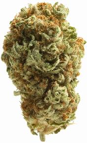 Cream Cheese | POLARIS | Recreational Marijuana Cream Cheese, polaris