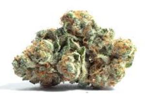 Dolce & Banana | GOLDEN STATE BANANA | Recreational Marijuana Dolce & Banana, golden state banana