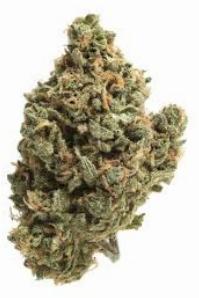 Fabuloso #2 | VOODOO | Recreational Marijuana Fabuloso #2, voodoo