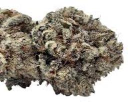 Family Ties, the grower circle