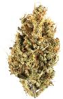 Funkfetti | BLVD | Recreational Marijuana Funkfetti, blvd