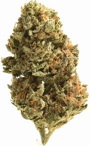 Garlic Sundae, alternative medicine association