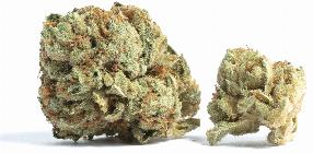 Gas Station Zushi | CLOUT KING | Recreational Marijuana Gas Station Zushi, clout king