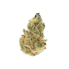 Gelato Pop - Daze