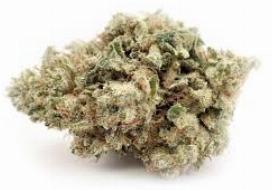 GG4 on Fire | GREEN LIFE PRODUCTIONS | Recreational Marijuana GG4 on Fire, green life productions