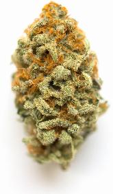 GMO Cookies, alternative medicine association