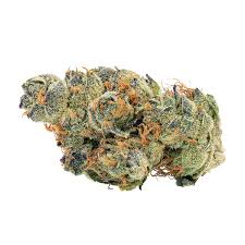 GMO Cookies - Polaris
