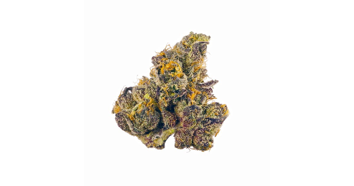 Governmint Oasis - Superior