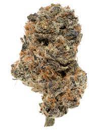 Grape 98 - Floravega