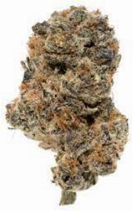 Grape 98 | FLORAVEGA | Recreational Marijuana Grape 98, floravega