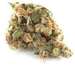 GSC, alternative medicine association