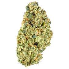 Headband - Floravega