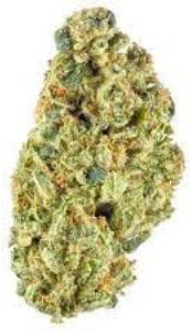 Headband, floravega