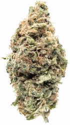 Jenny Kush | JENNY KUSH'S | Recreational Marijuana