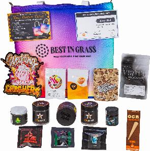 Judge Kit, best in grass