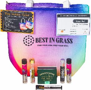 Judge Kit, best in grass