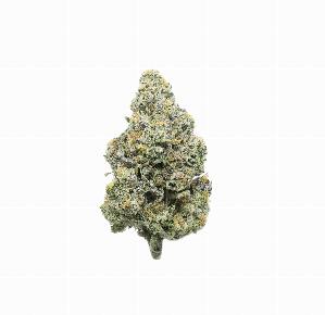 Jungle Juice, nature's chemistry