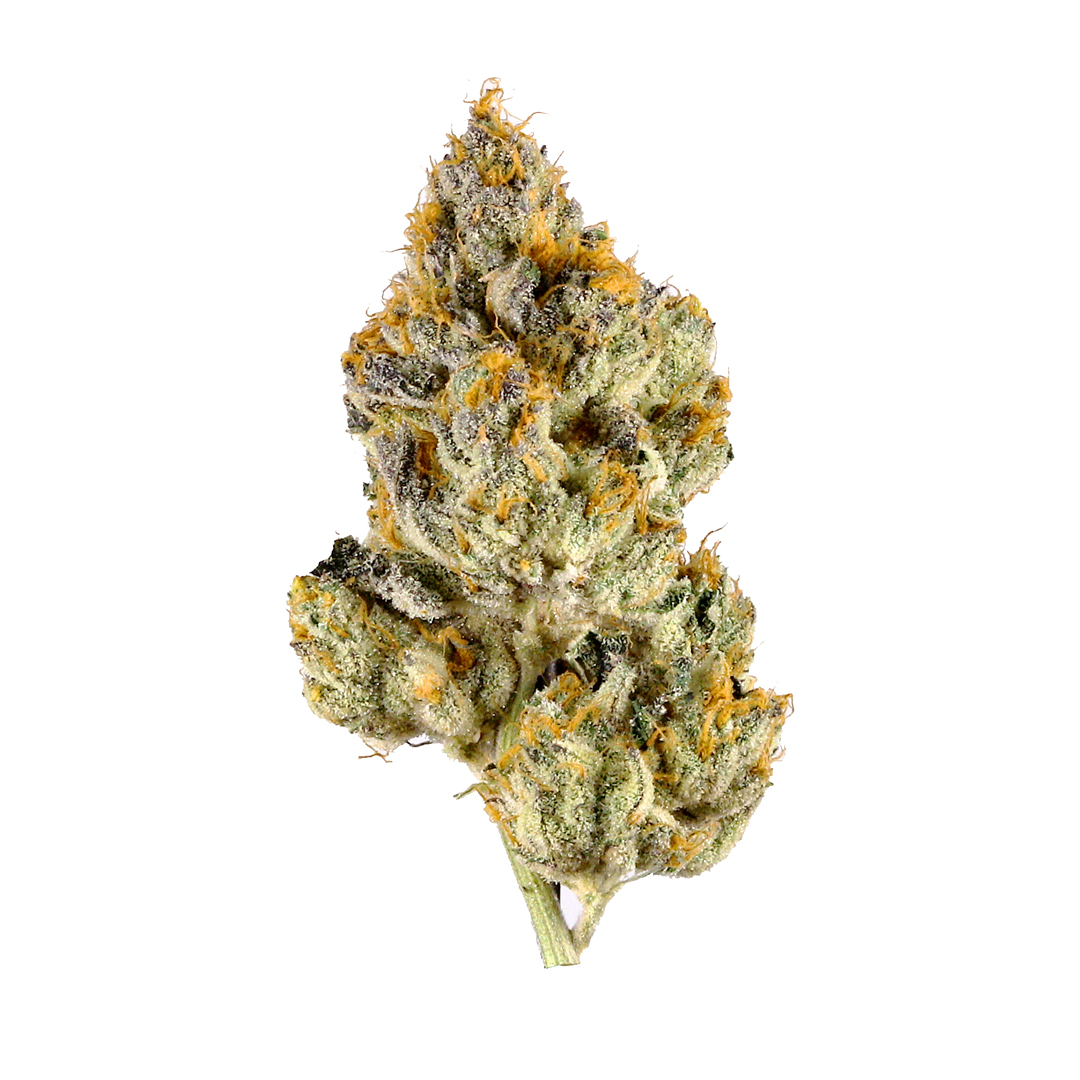 Lemon Cherry Gelato - Stiiizy