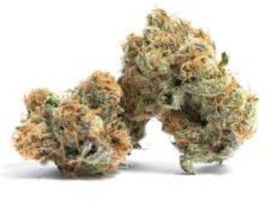 Love Machine | VOODOO | Recreational Marijuana Love Machine, voodoo