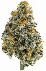 MAC | GREEN LIFE PRODUCTIONS | Recreational Marijuana MAC, green life productions