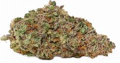 Mac N Cheese | HUSTLER'S AMBITION | Recreational Marijuana Mac N Cheese, hustler's ambition