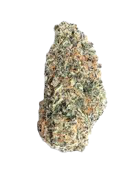 Melon Mimosa - Kynd
