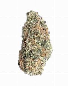 Melon Mimosa, kynd