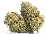 Melonheadz | CLOUT KING | Recreational Marijuana Melonheadz, clout king