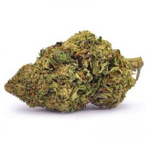 Miss B | GREEN LIFE PRODUCTIONS | Recreational Marijuana Miss B, green life productions