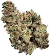 Miss Kashmir, green life productions