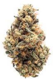 Miss Poison | GREEN LIFE PRODUCTIONS | Recreational Marijuana Miss Poison, green life productions