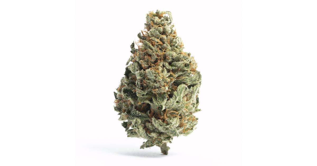 Molotov Cocktail - Blvd