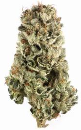 MTF | KYND | Recreational Marijuana MTF, kynd