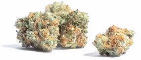 Mule Fuel | GREENWAY | Recreational Marijuana Mule Fuel, greenway